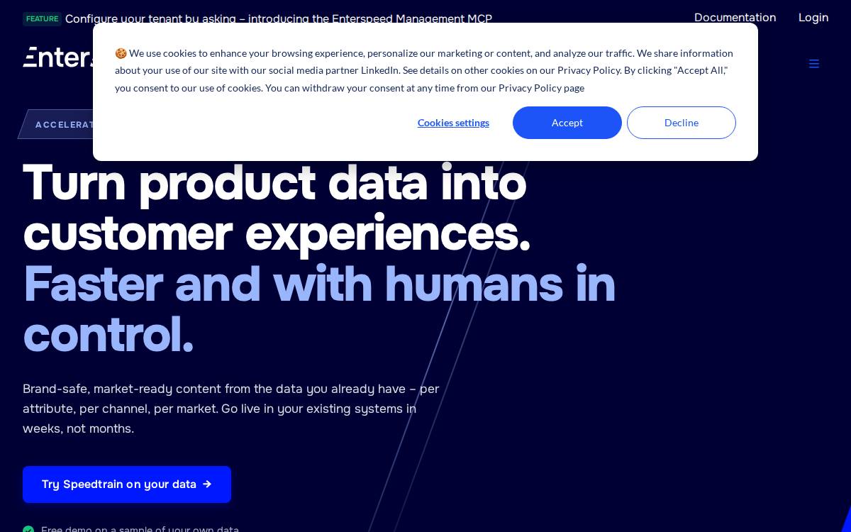 Enterspeed website preview