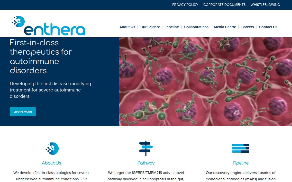 Enthera website preview