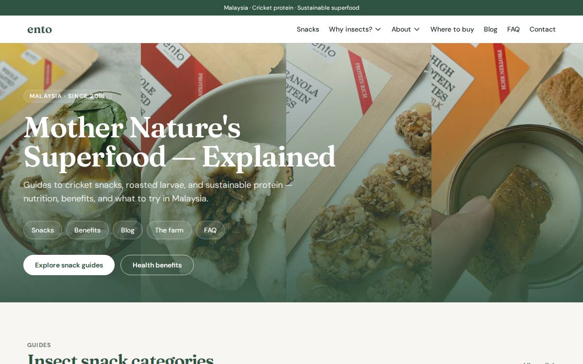 Ento website preview
