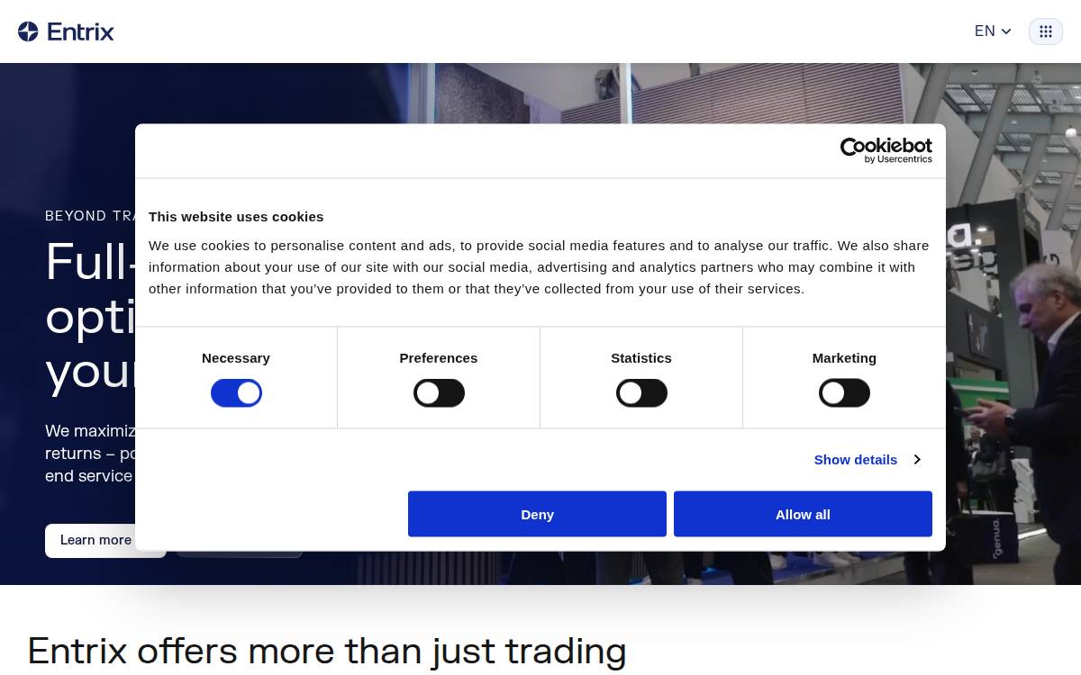 Entrix website preview