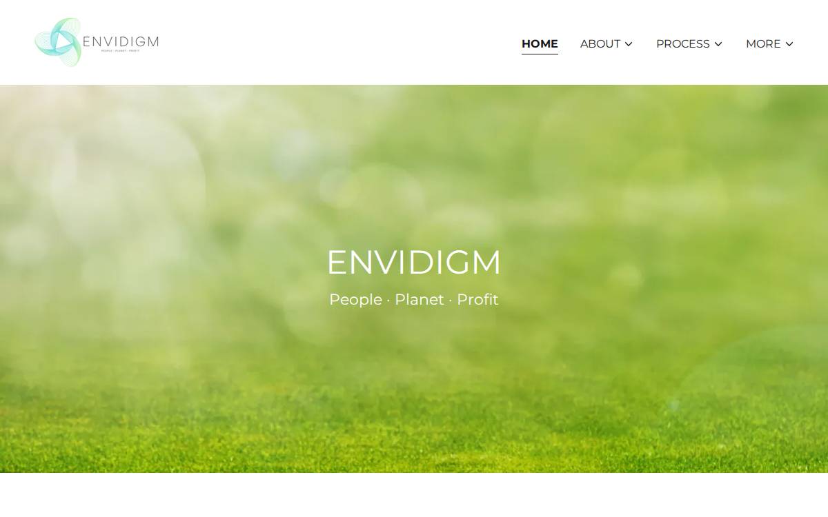 Envidigm website preview