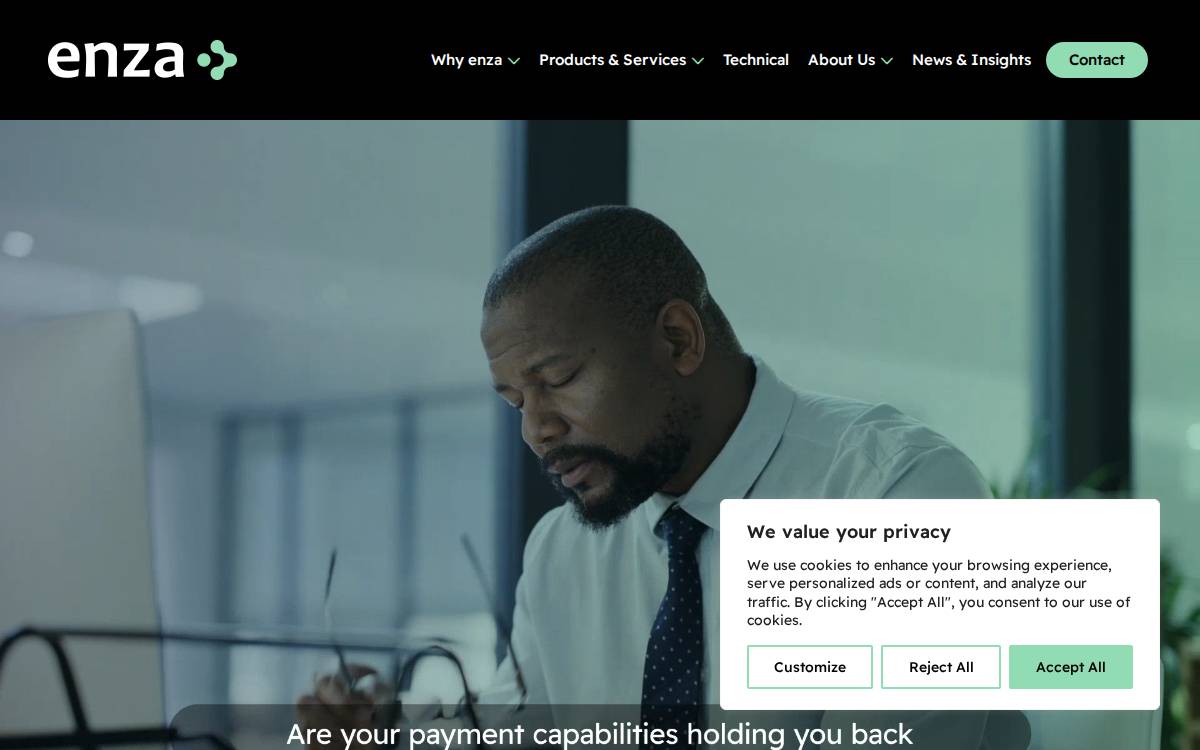 Enzagroup website preview