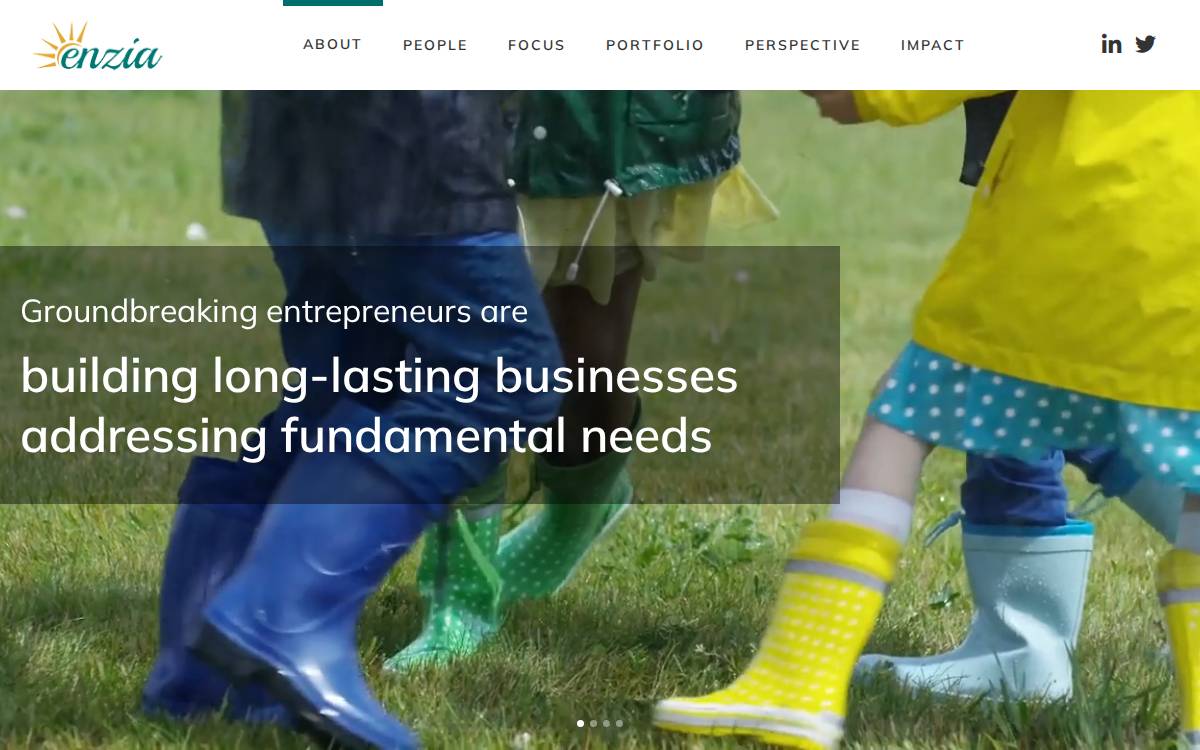 Enzia Ventures website preview