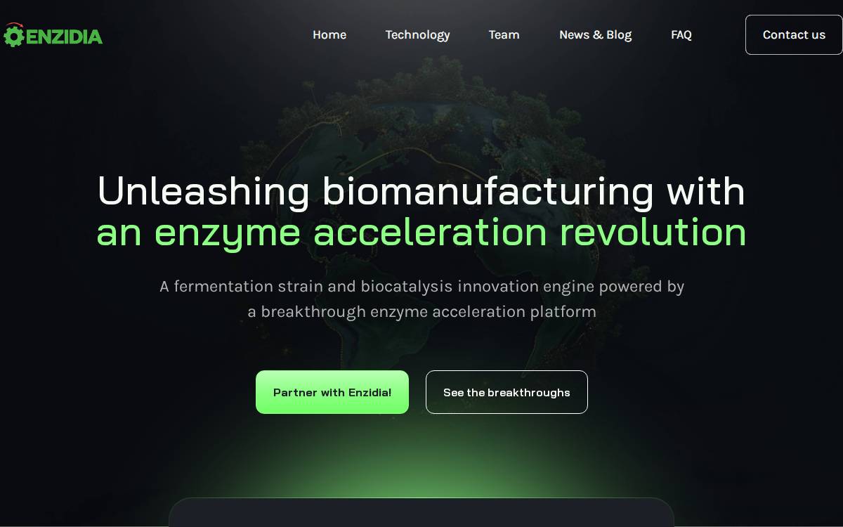 Enzidia website preview