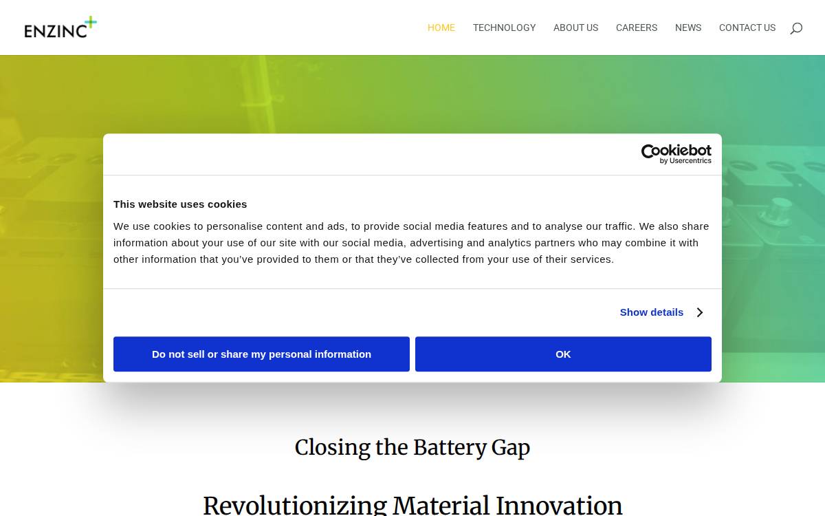 Enzinc website preview