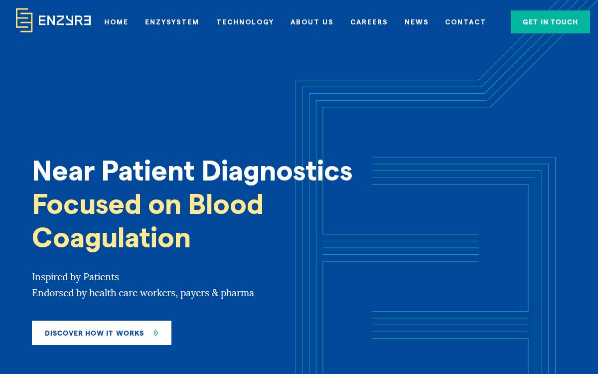 Enzyre website preview