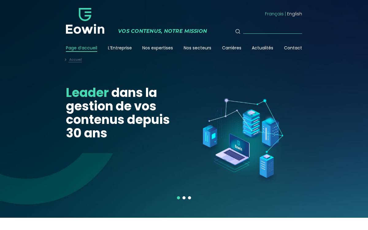 Eowin website preview