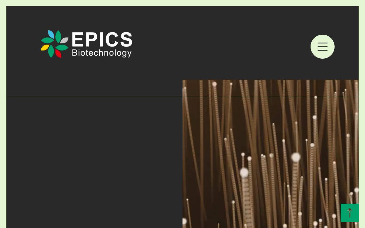 Epicsbiotech website preview