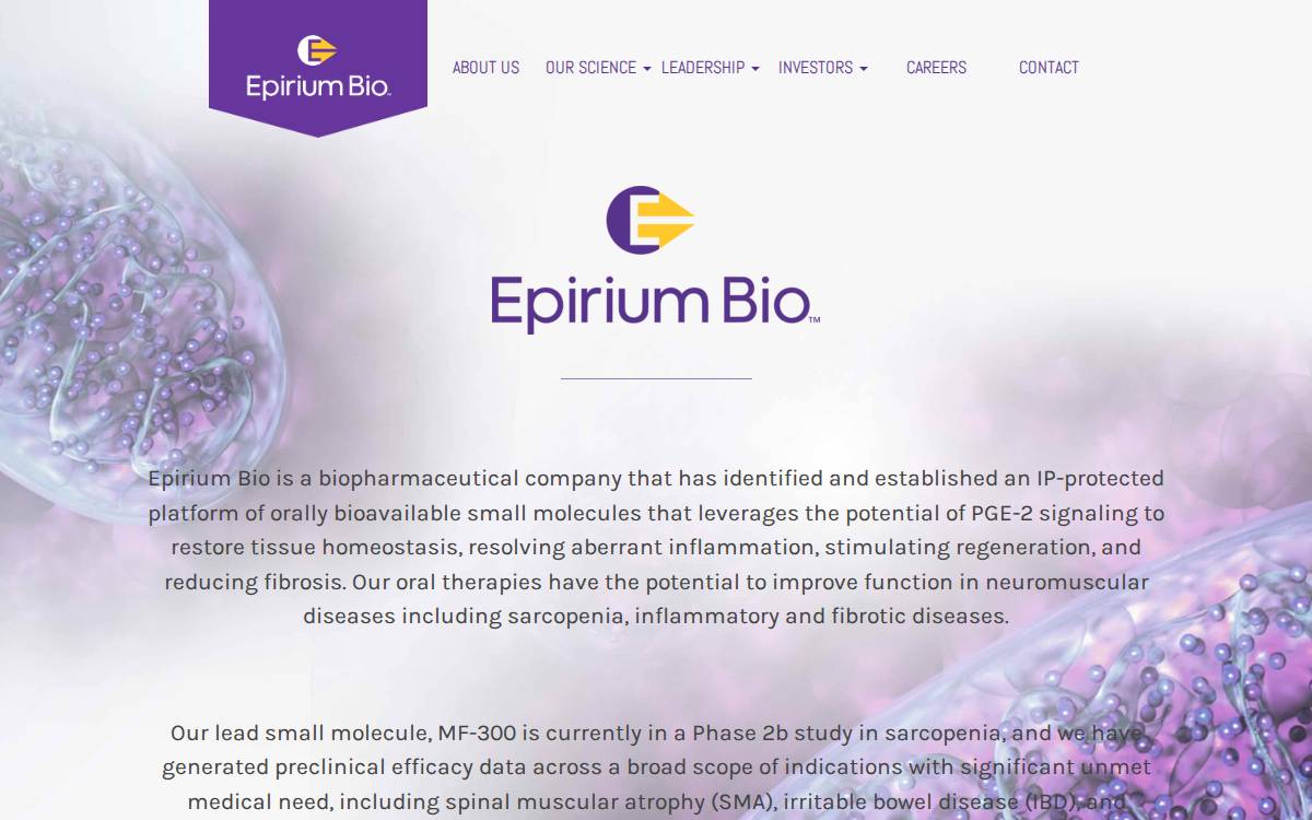 Epirium website preview