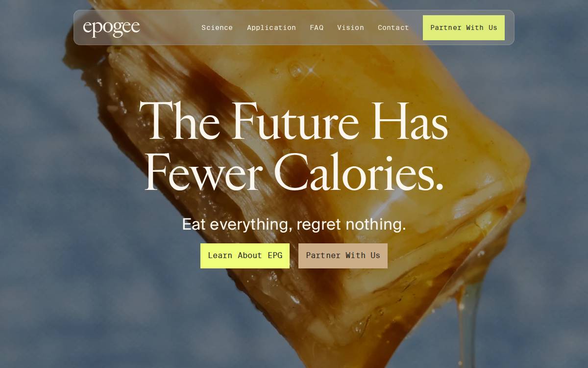 Epogee website preview