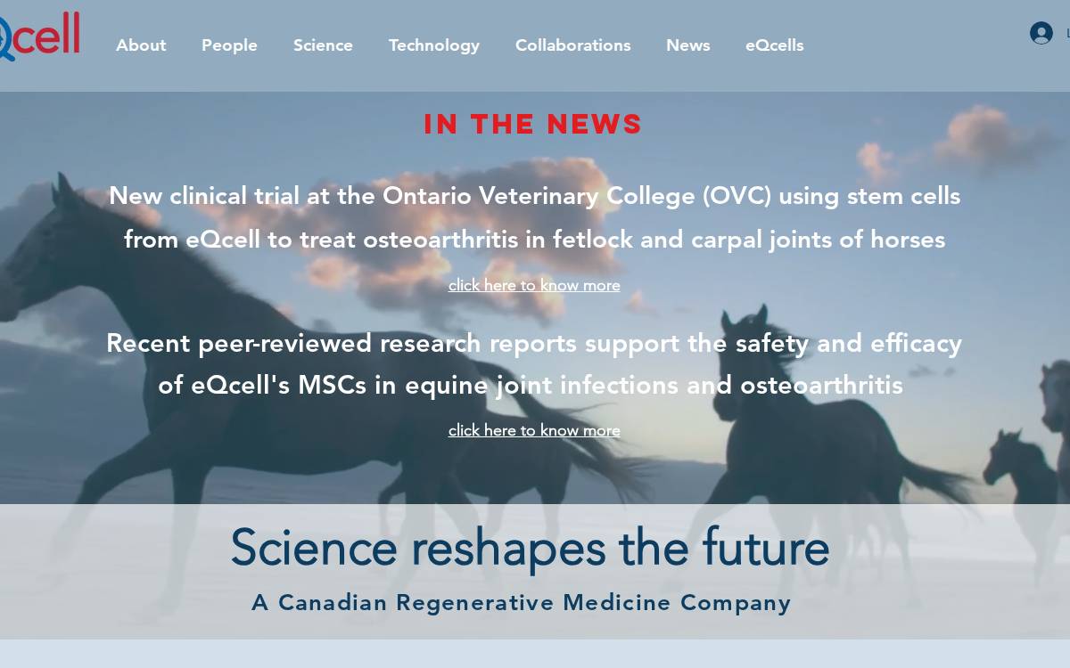 eQcell Website website preview
