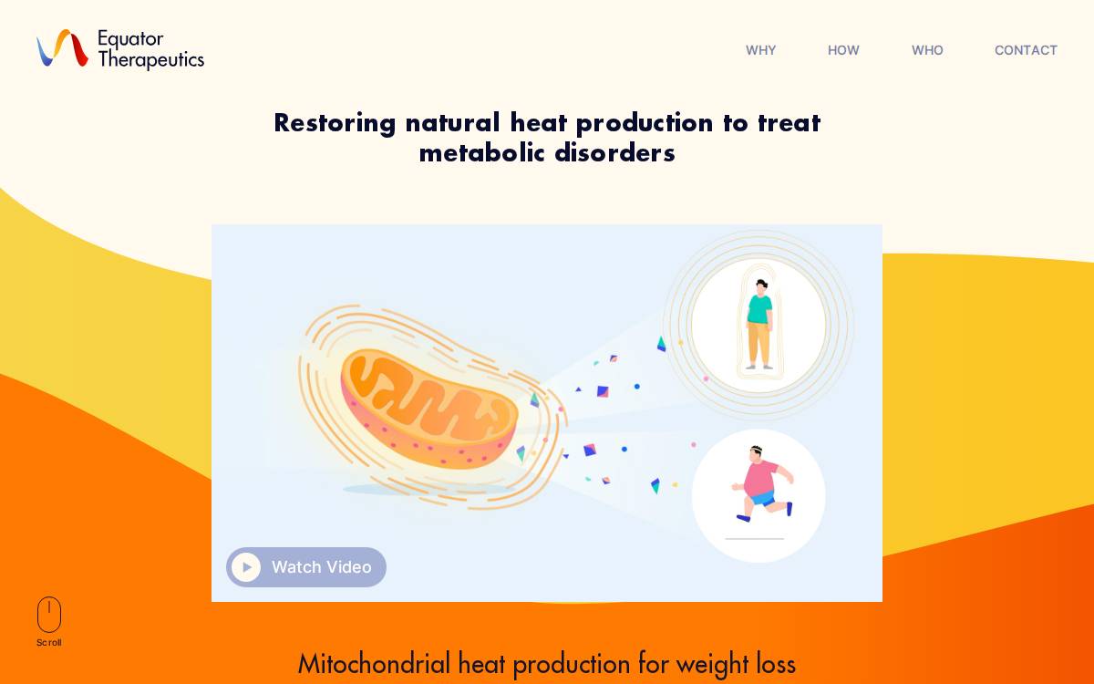Equator Therapeutics website preview