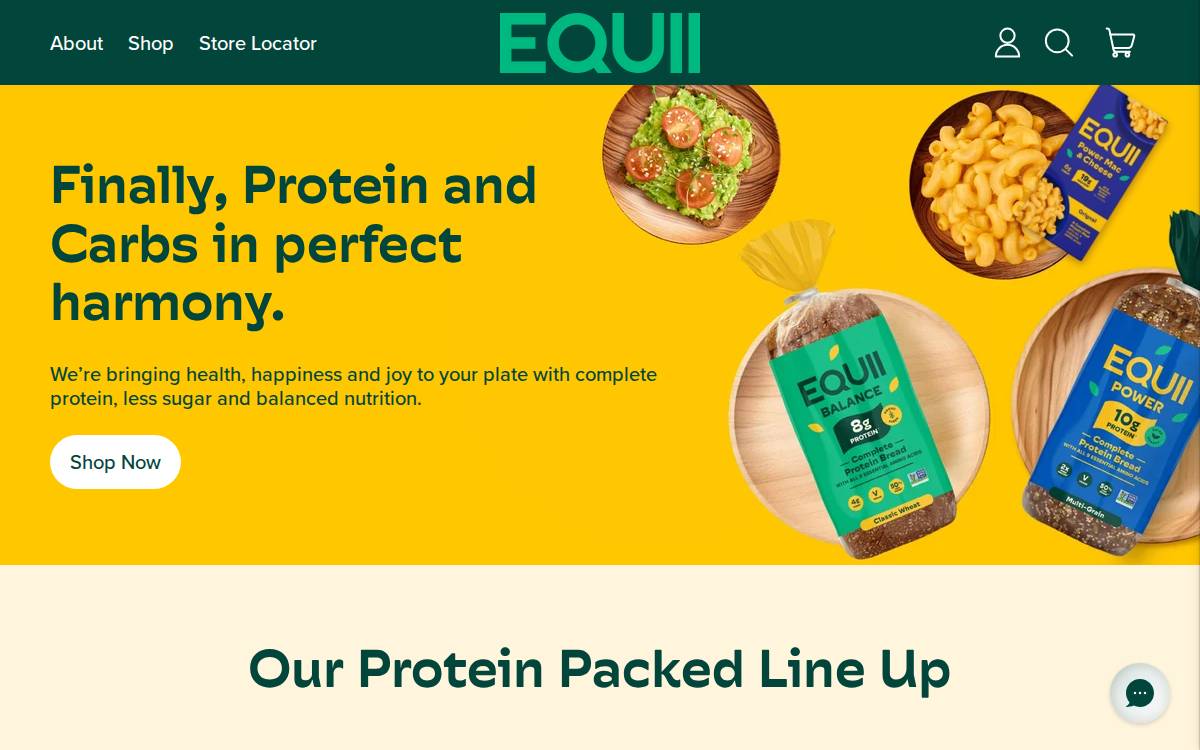 Equii website preview
