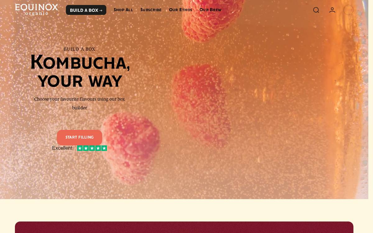 Equinox website preview