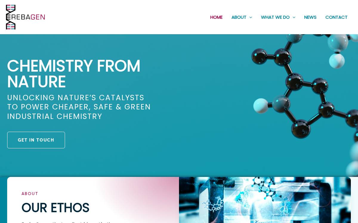 ErebaGen website preview