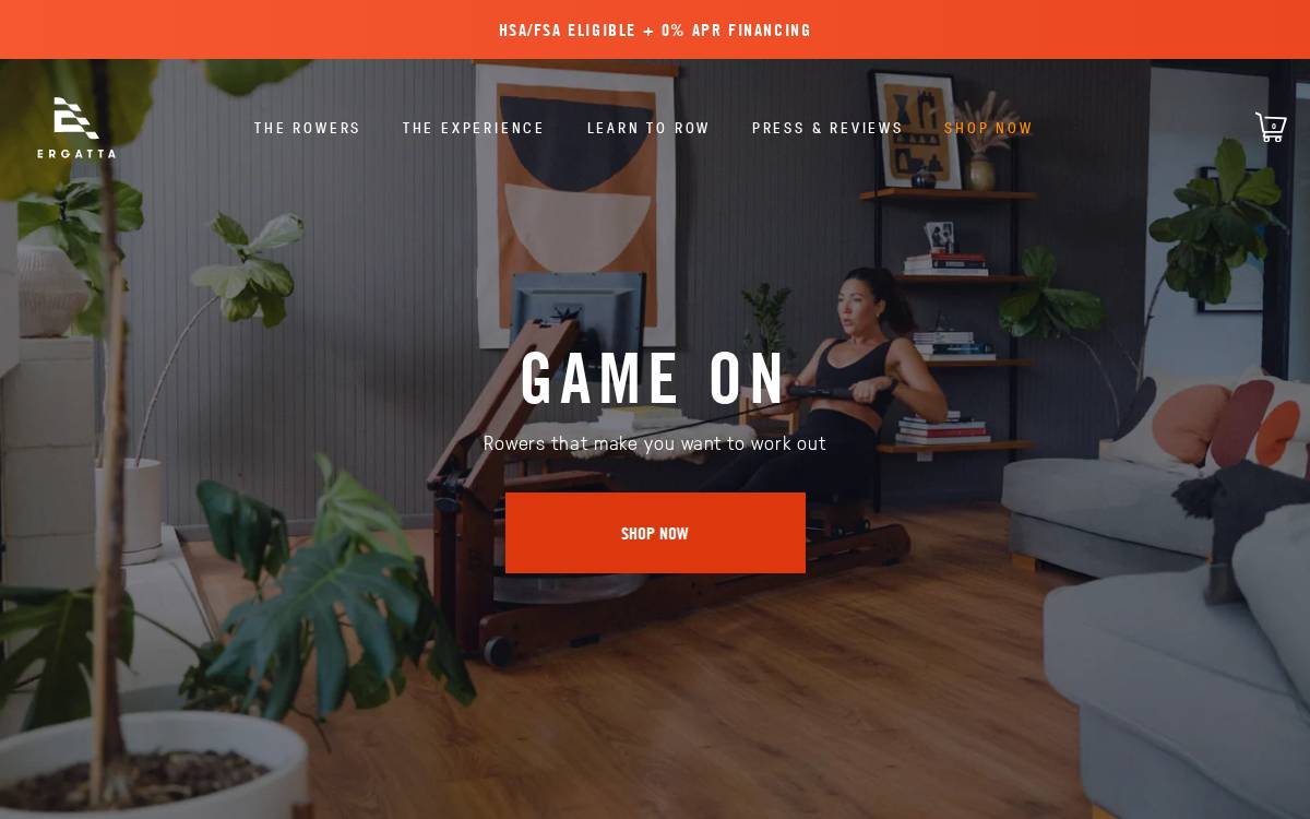 Ergatta website preview