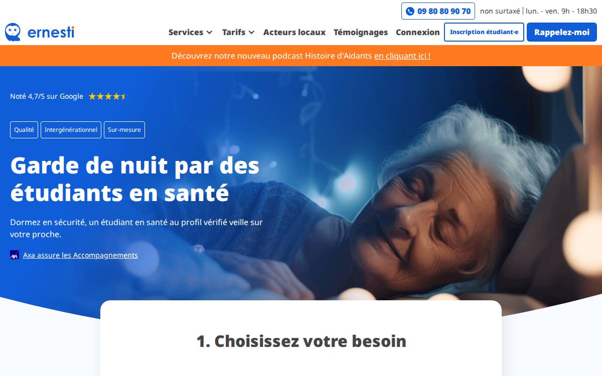 Ernesti website preview