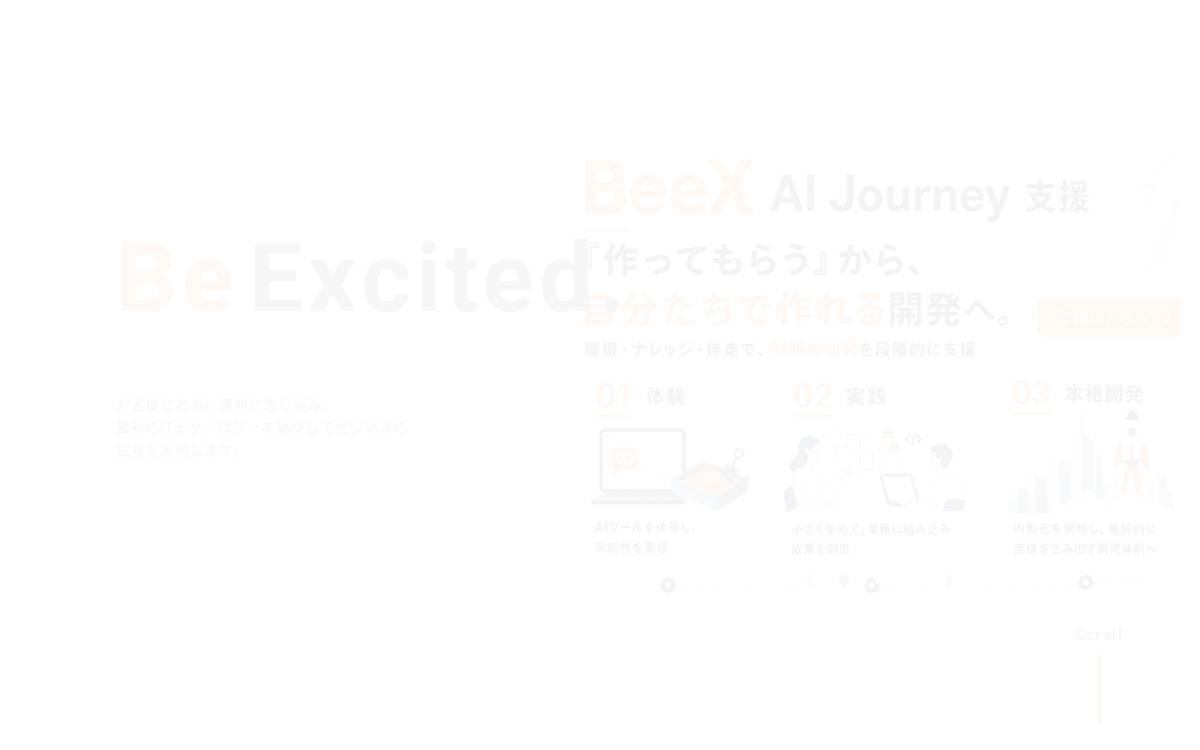 ERP website preview