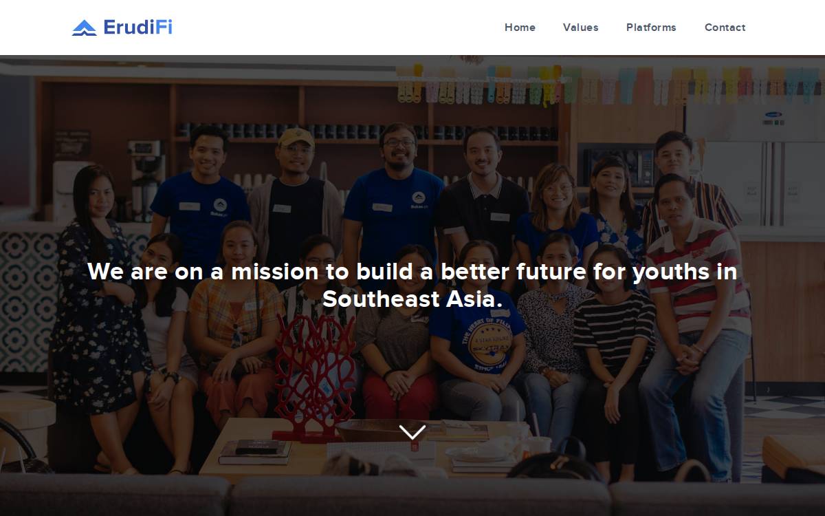 ErudiFi website preview