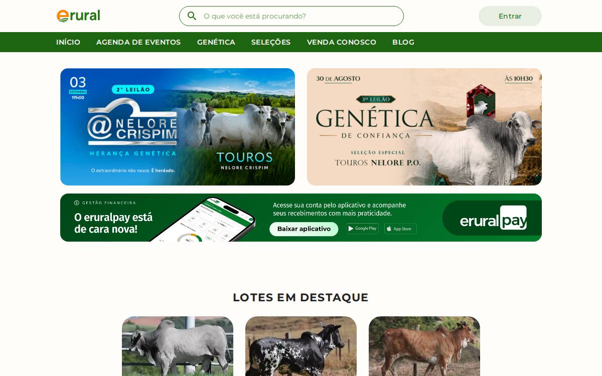 Erural website preview