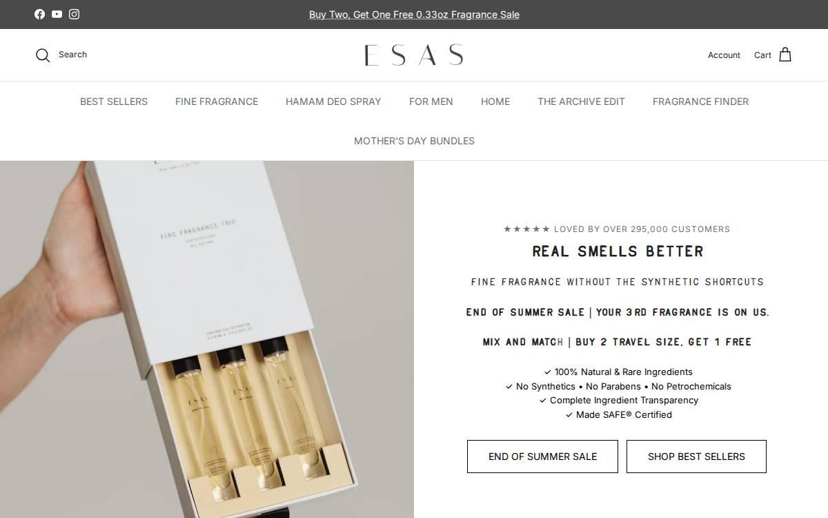 Esasnyc website preview