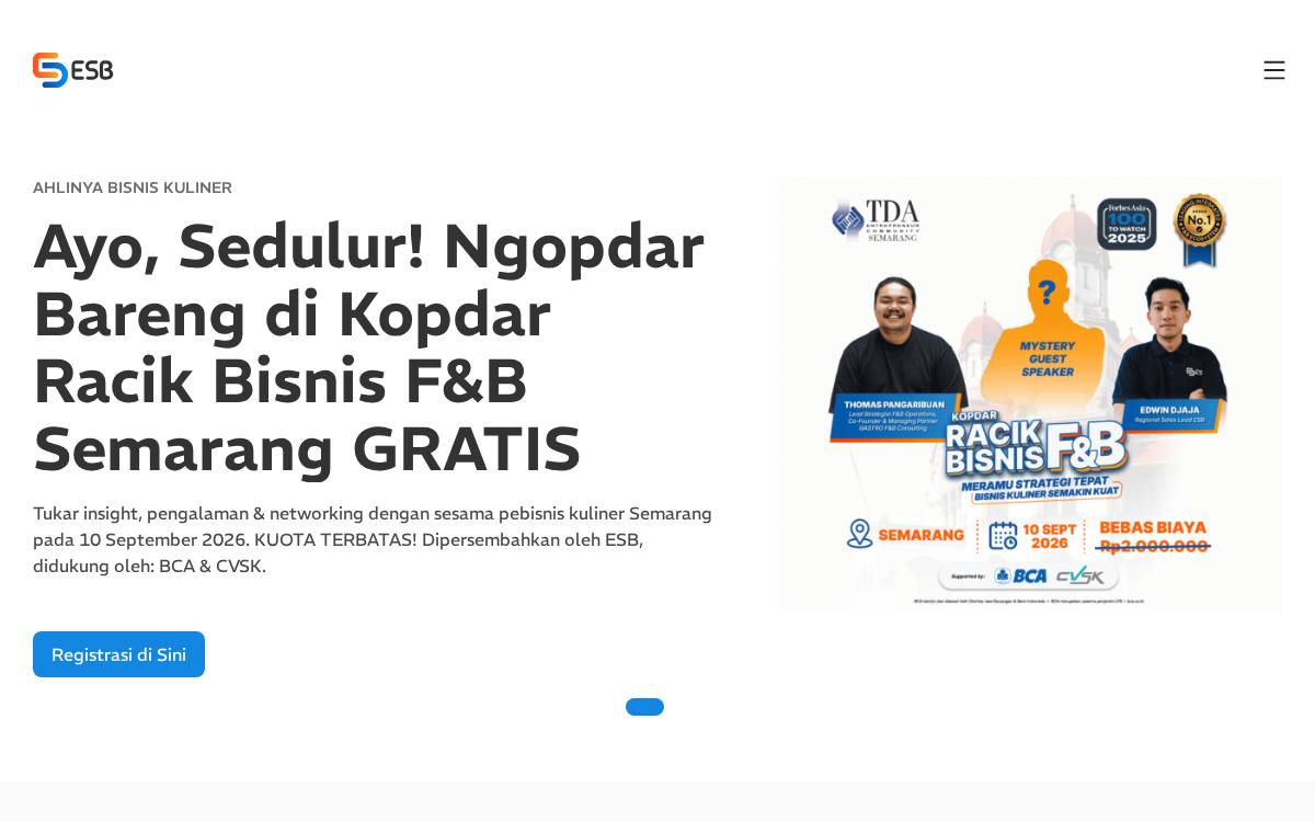 ESB website preview