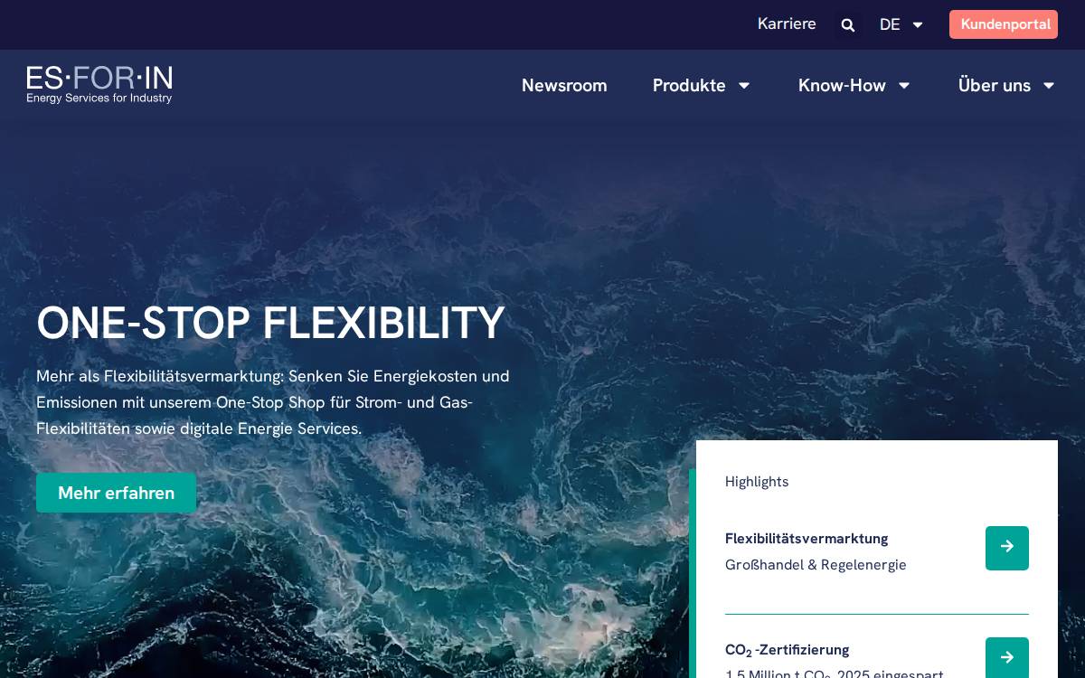 Esforin website preview