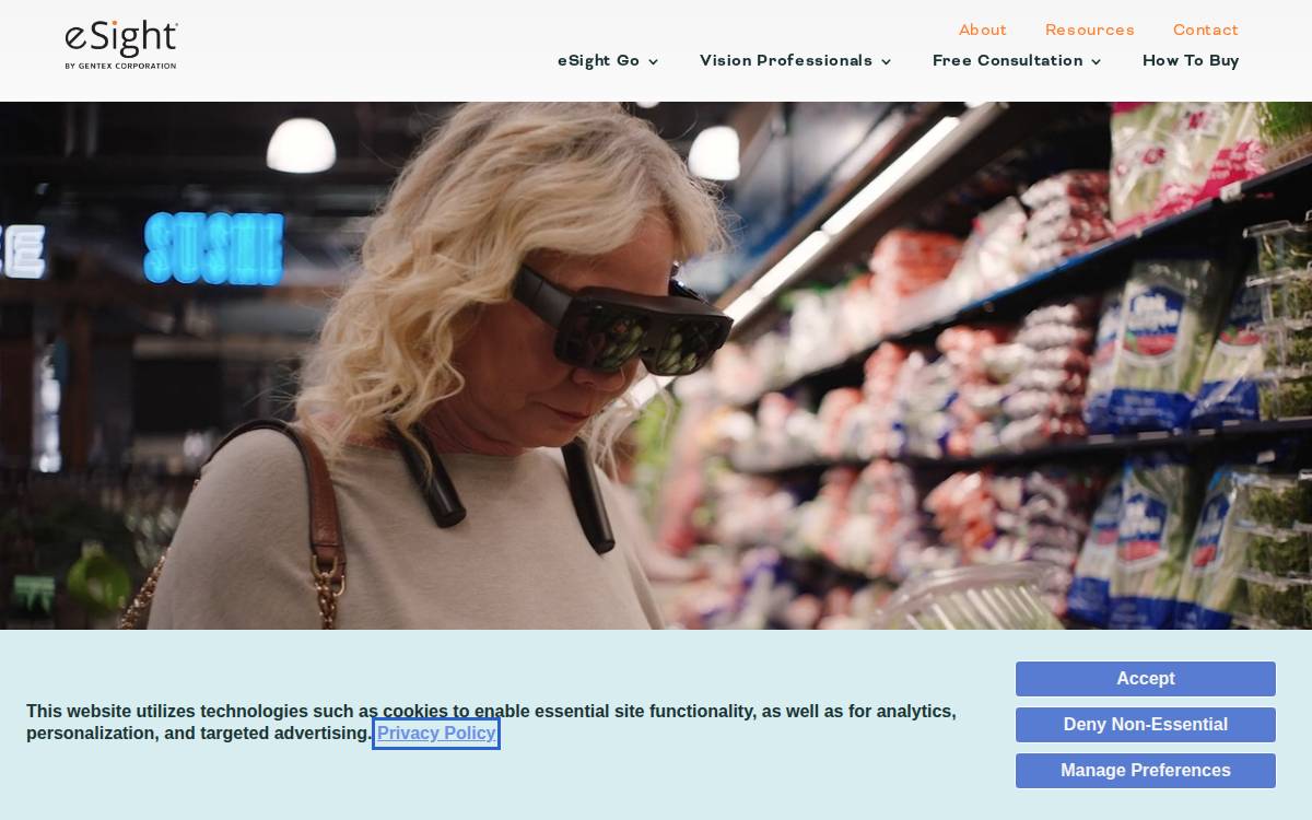 eSight website preview
