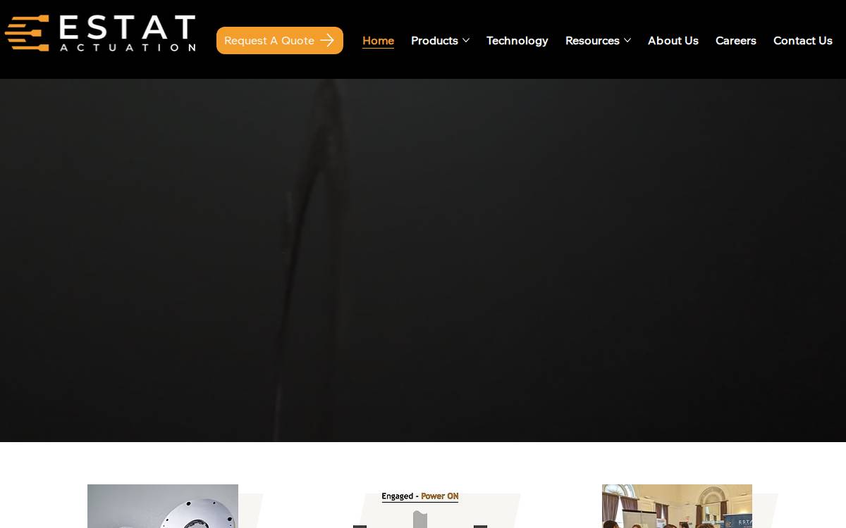 Estat website preview