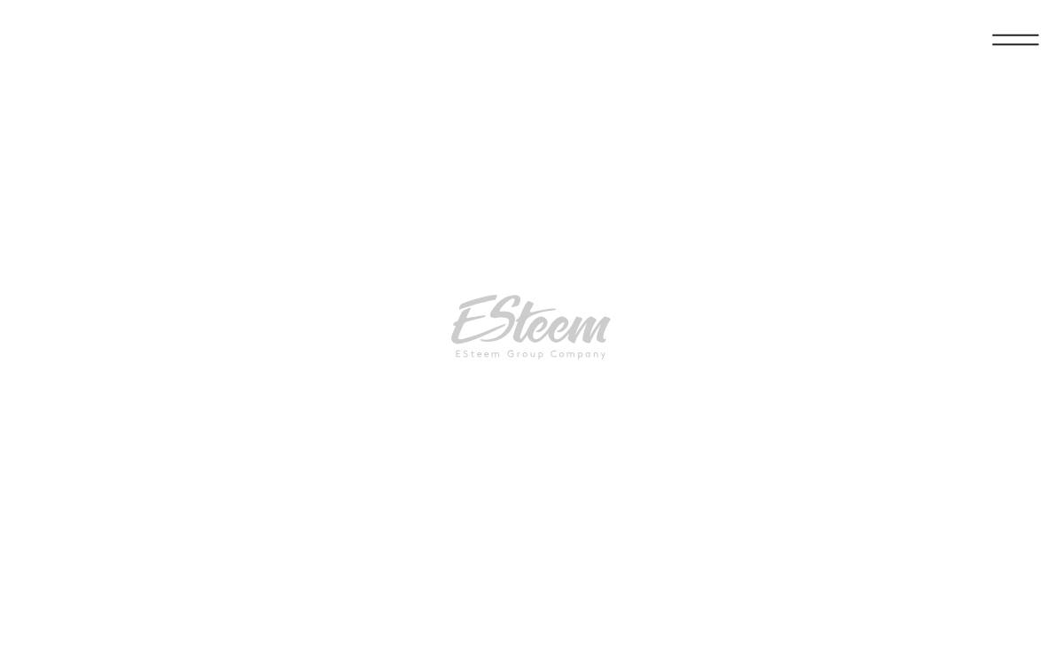 Esteemgroup website preview