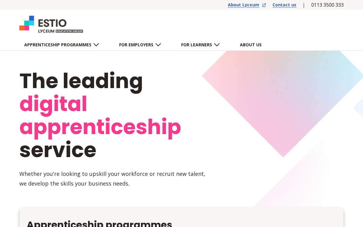Estio website preview