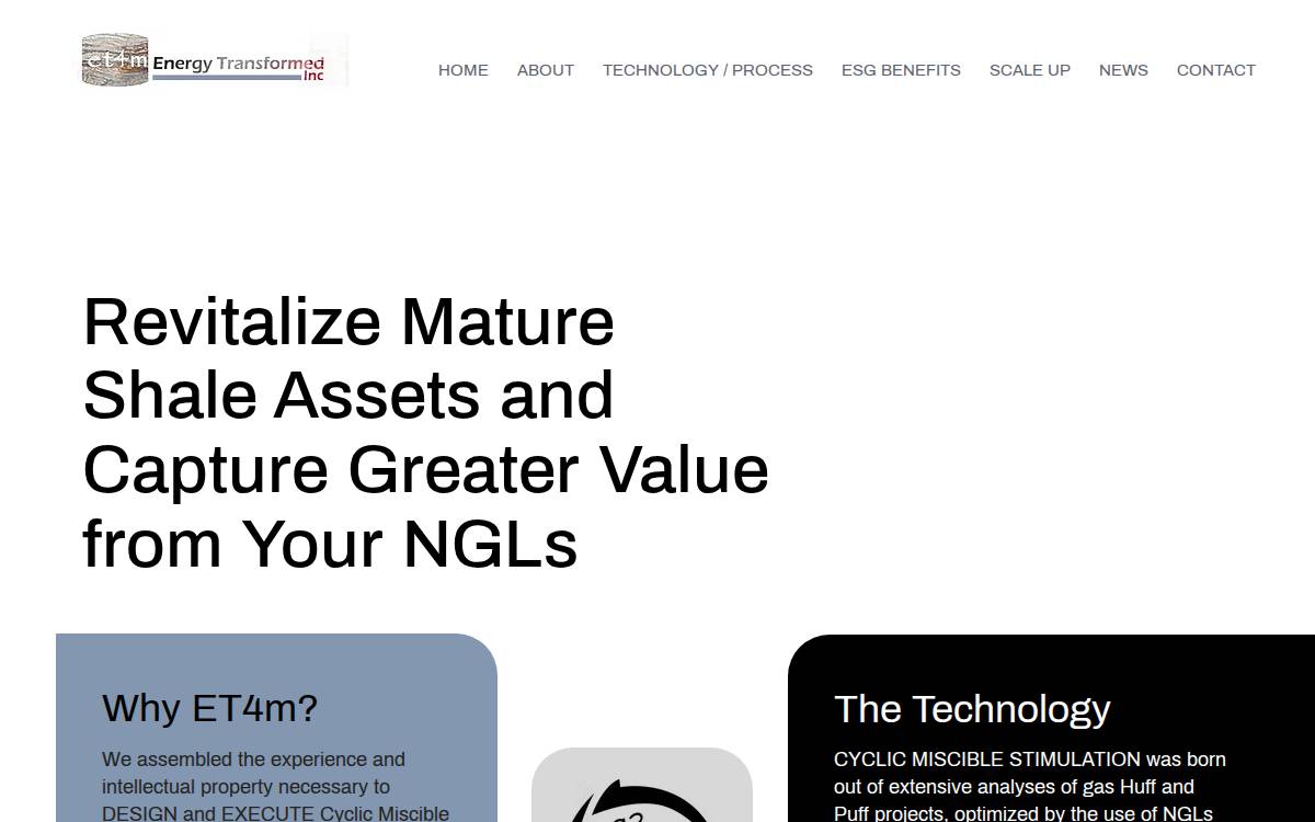Et4M website preview