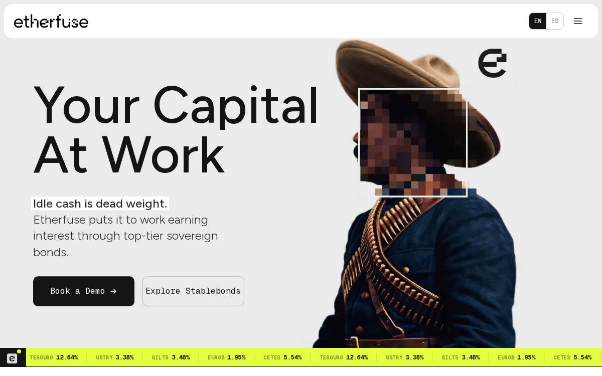 Etherfuse website preview