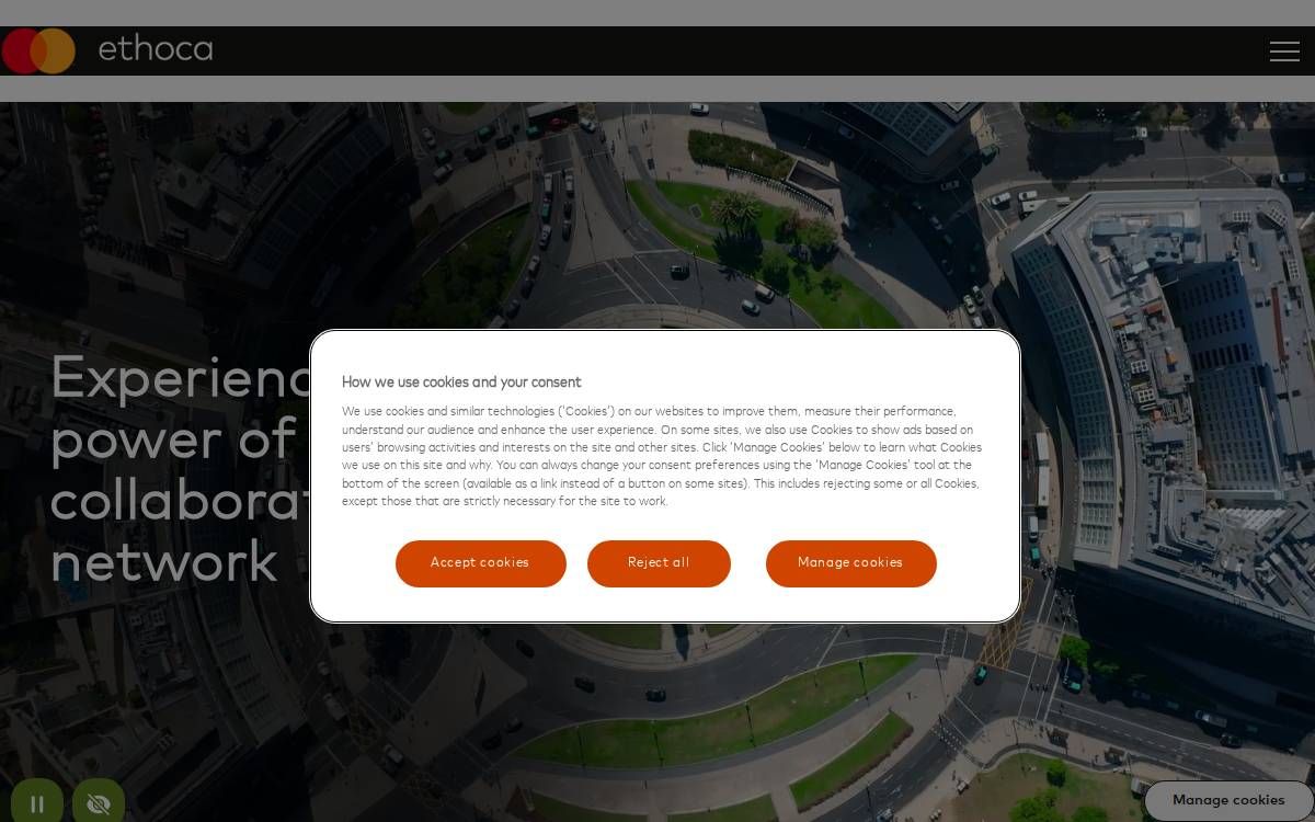 Ethoca website preview