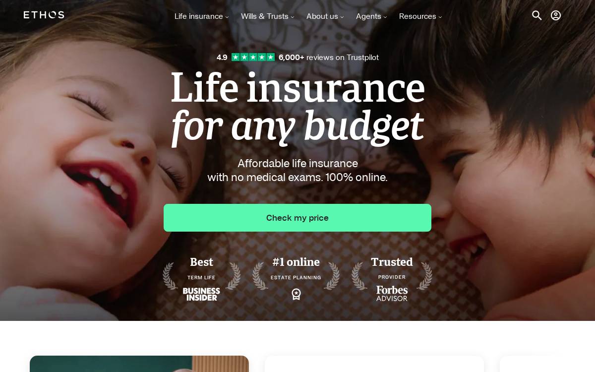Ethos website preview