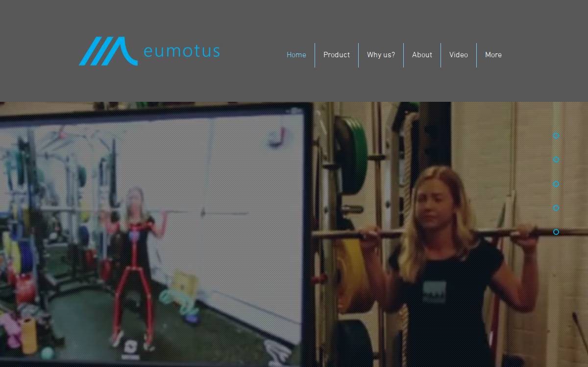 EuMotus website preview