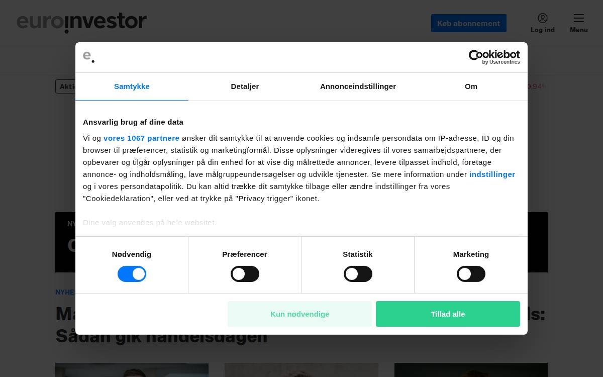 Euroinvestor website preview