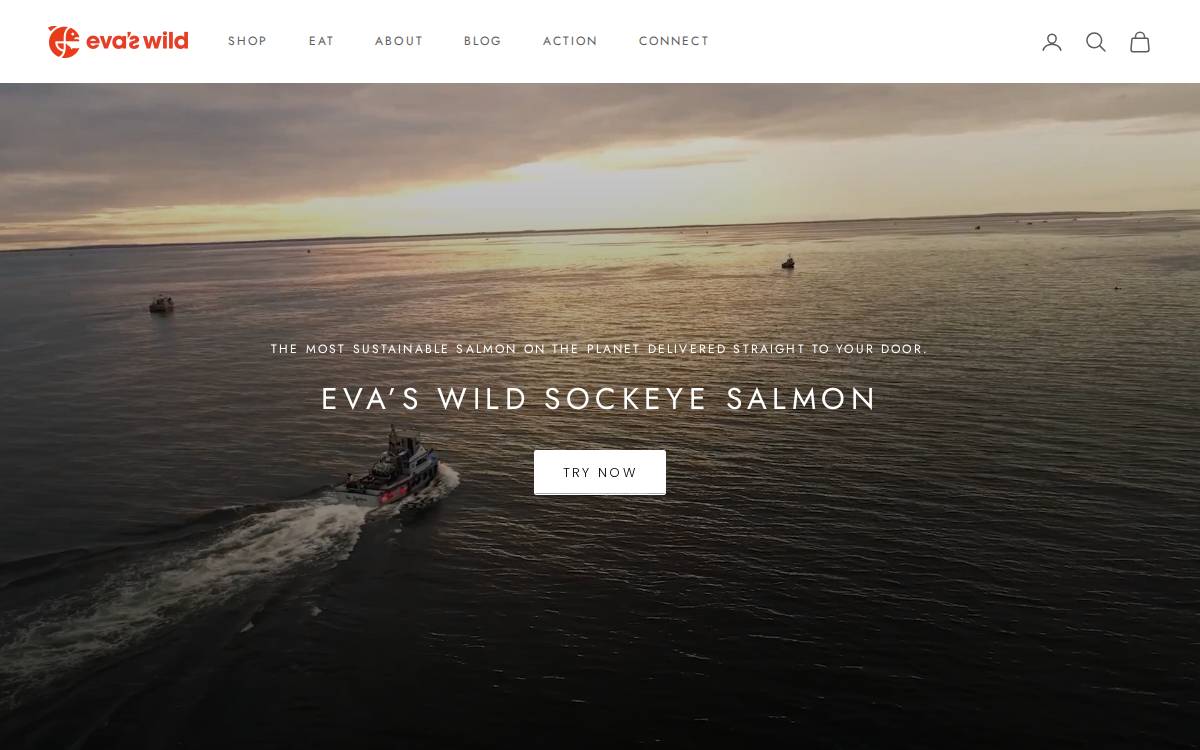 Eva's Wild website preview