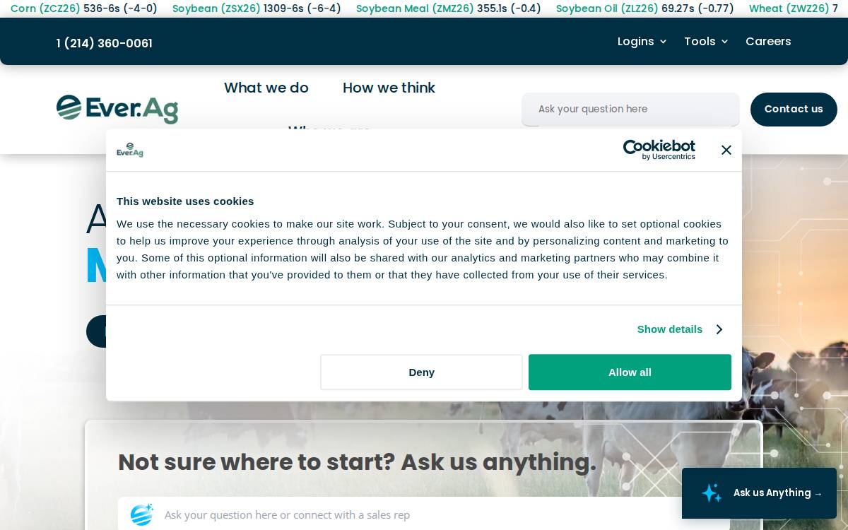 Ever website preview