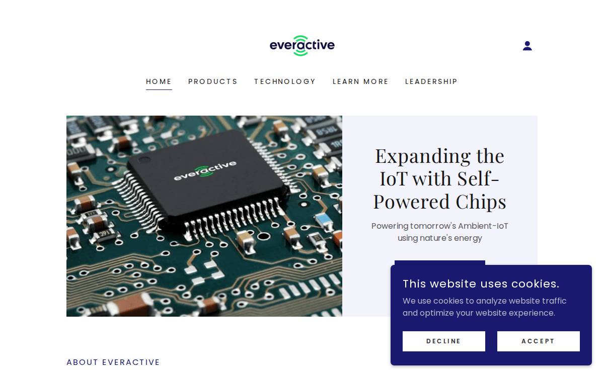 Everactive website preview