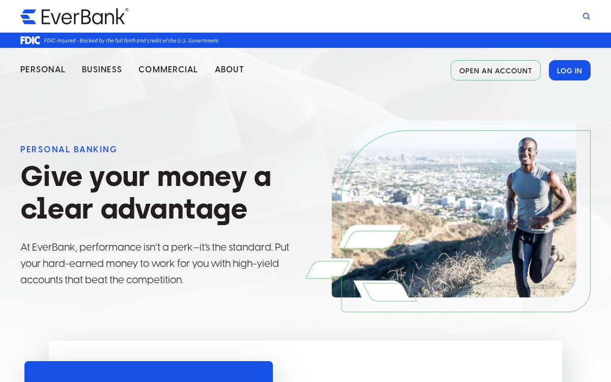 Everbank website preview