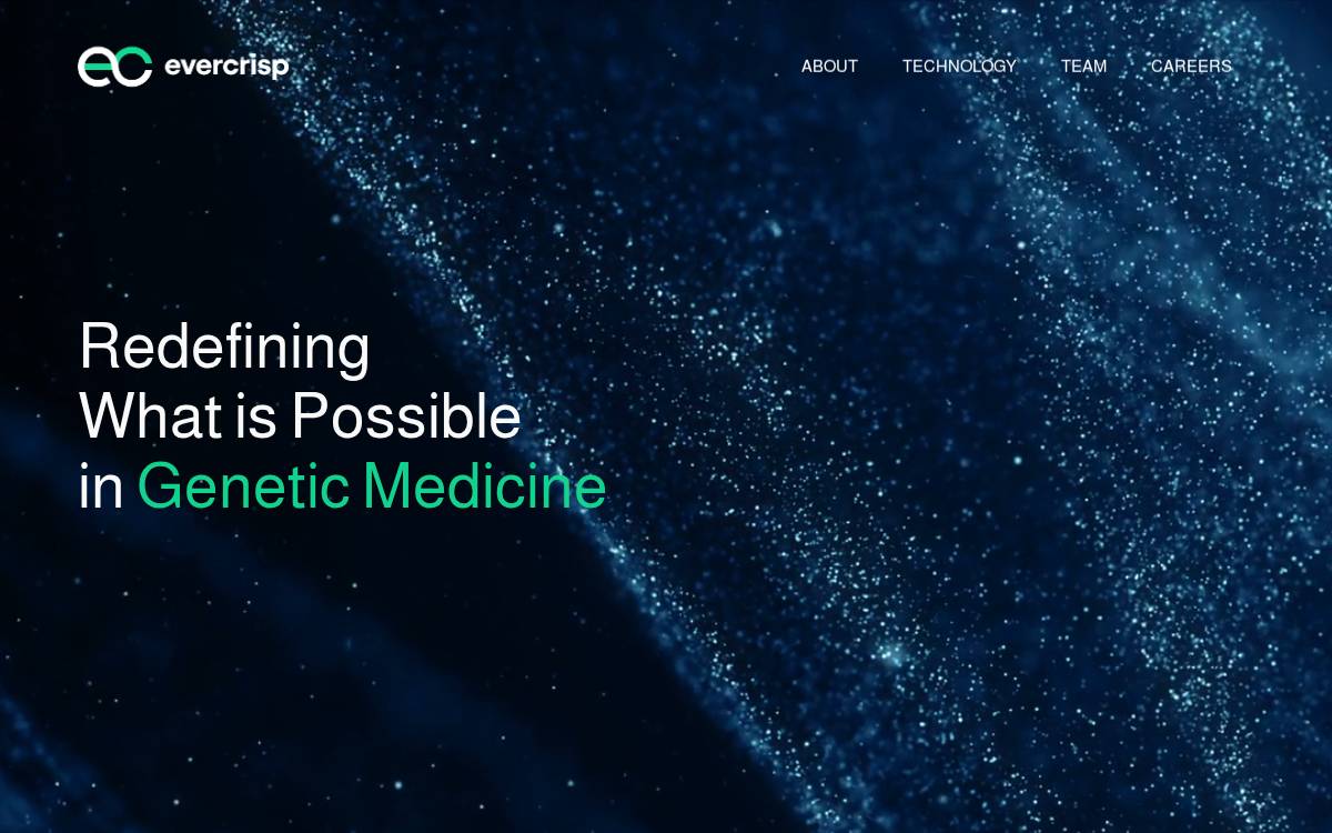 Evercrisp website preview