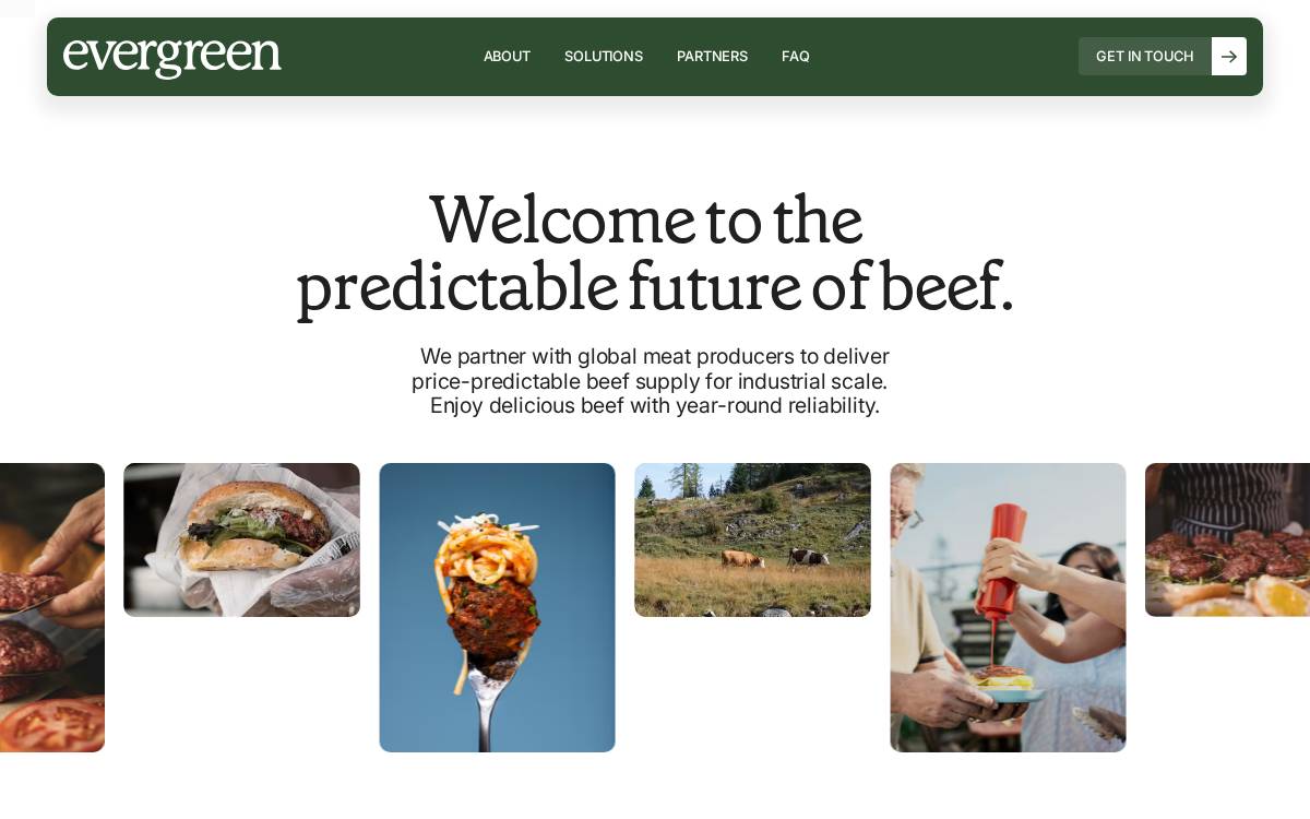 Evergreen Select website preview