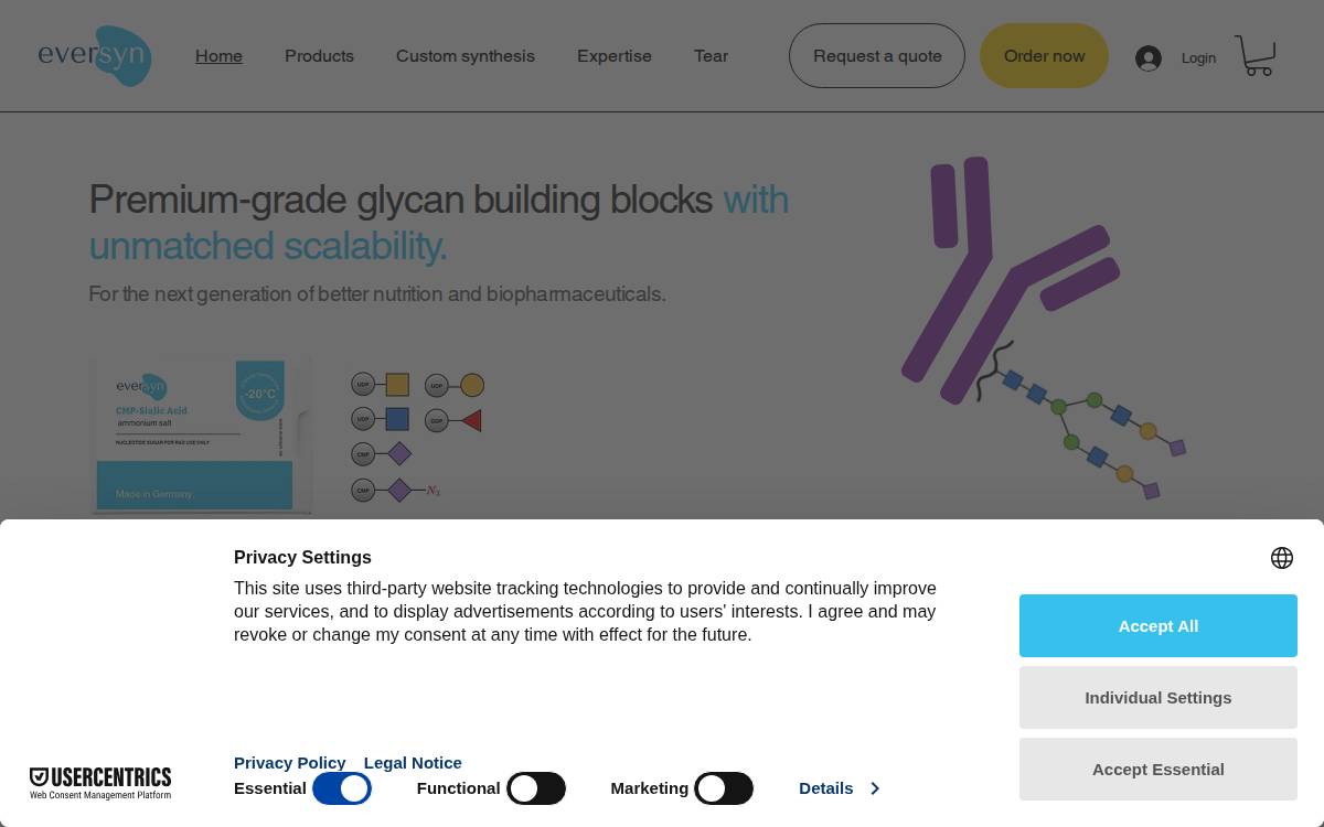 Eversyn Gmbh website preview