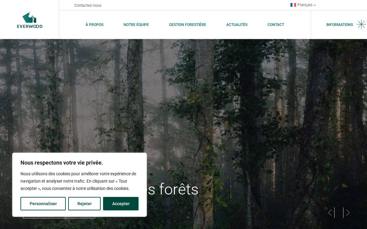 Everwood website preview