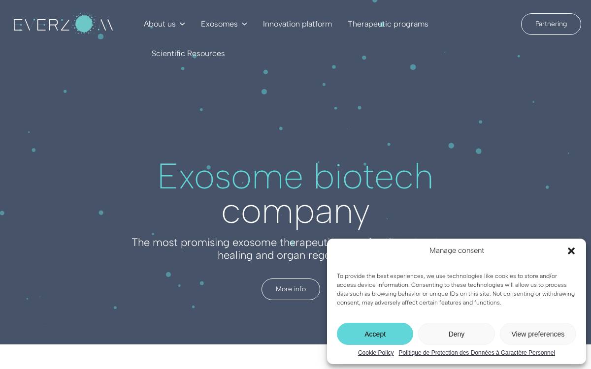 EVerZom website preview