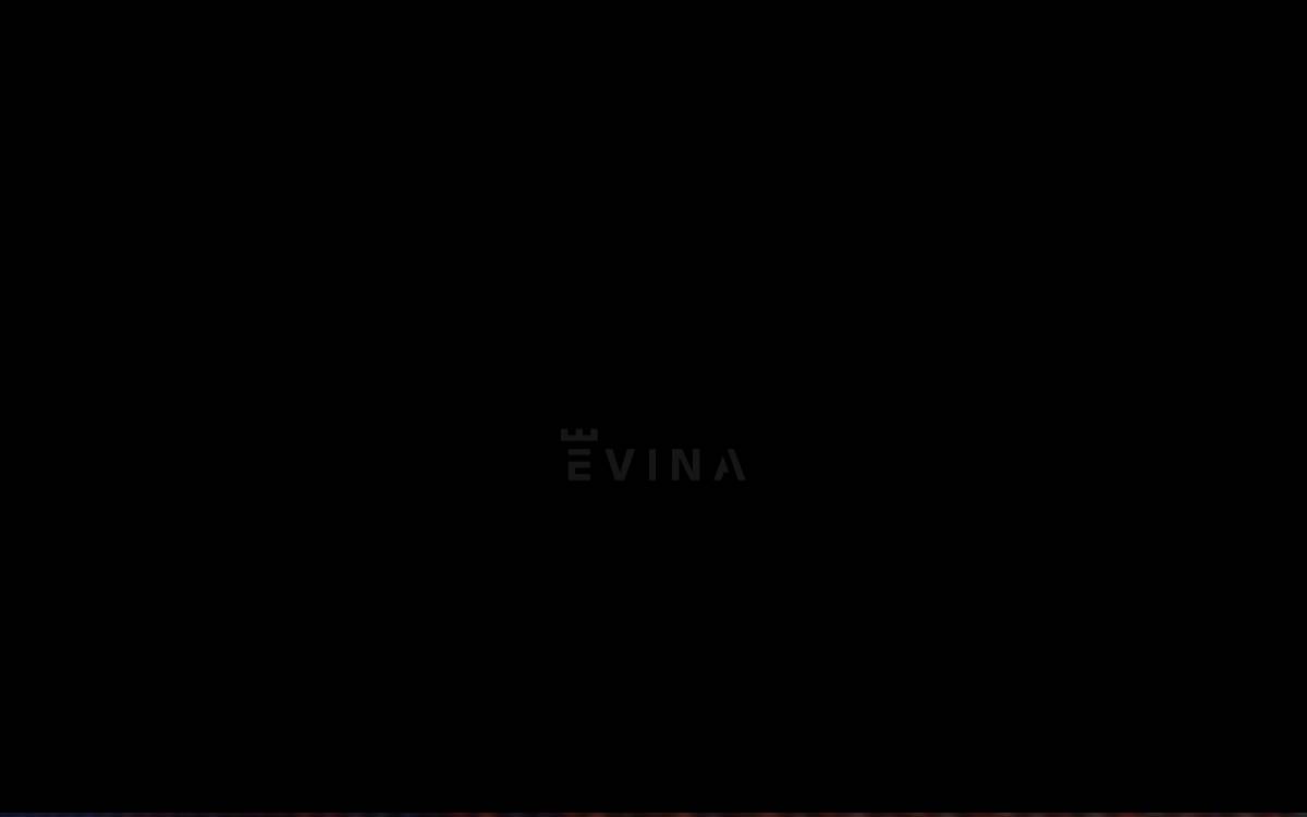 Evina website preview