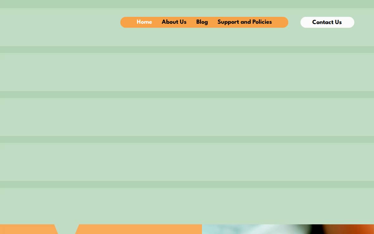 Evision Academy website preview