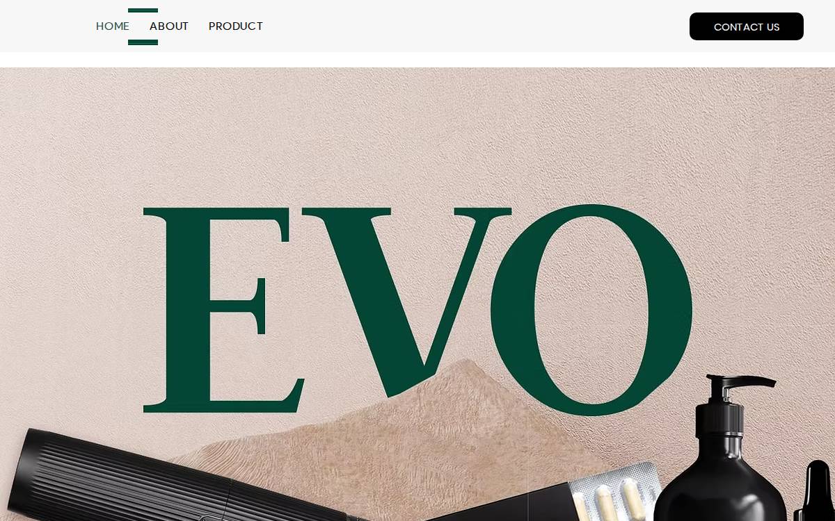 Evo Commerce website preview
