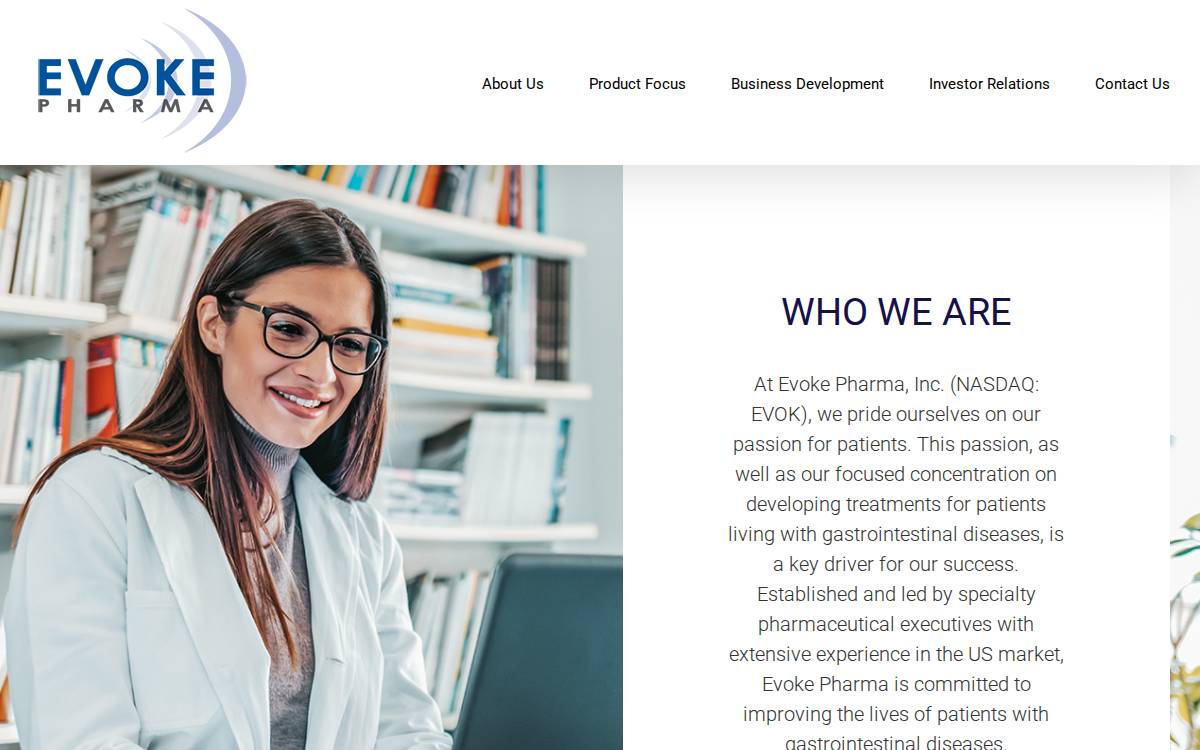 Evoke Website website preview